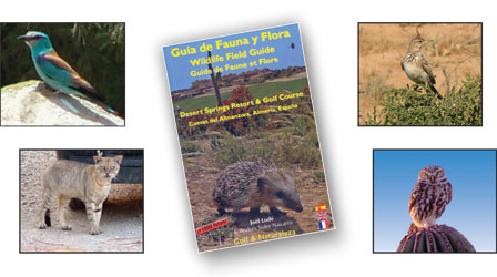 A Field Guide to Wildlife at Desert Springs