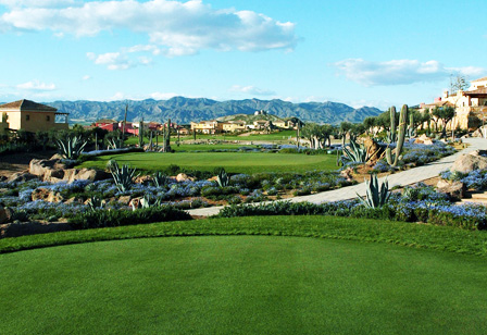 2008-09-22_the_beauty_of_desert_springs.jpg