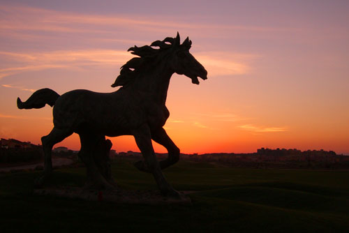 DSGR-Testimonial-Blank