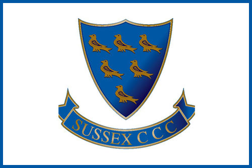DSGR-Testimonial-Sussex-CCC