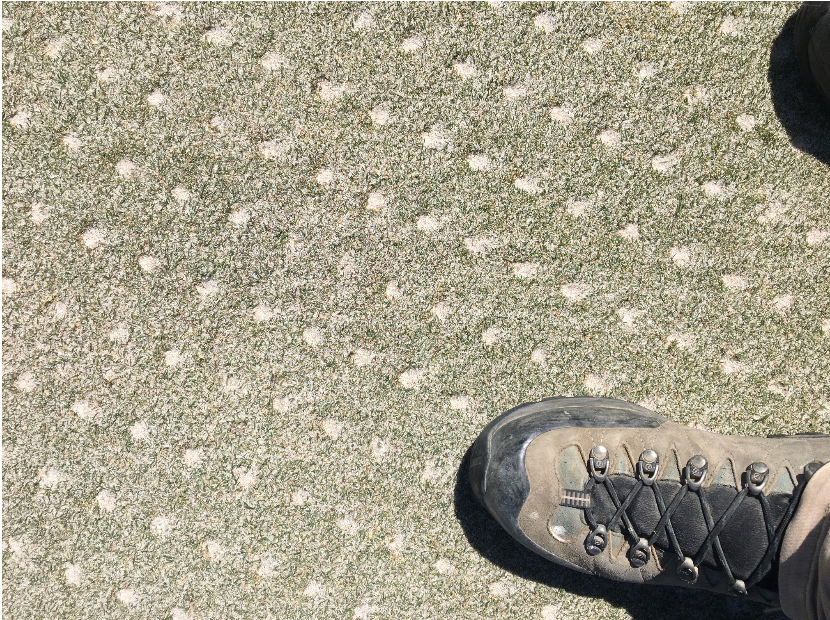 Captura de pantalla 2018-07-13 a las 16.53.43