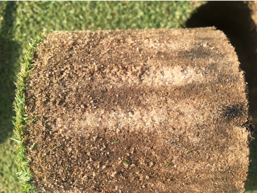 Captura de pantalla 2018-07-13 a las 16.54.07