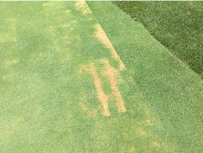 Captura de pantalla 2018-07-13 a las 16.54.13