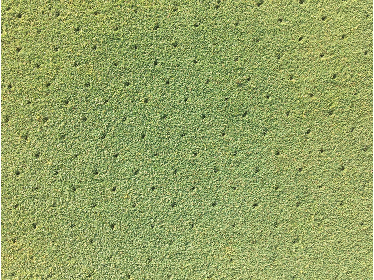 Captura de pantalla 2018-07-13 a las 16.55.37