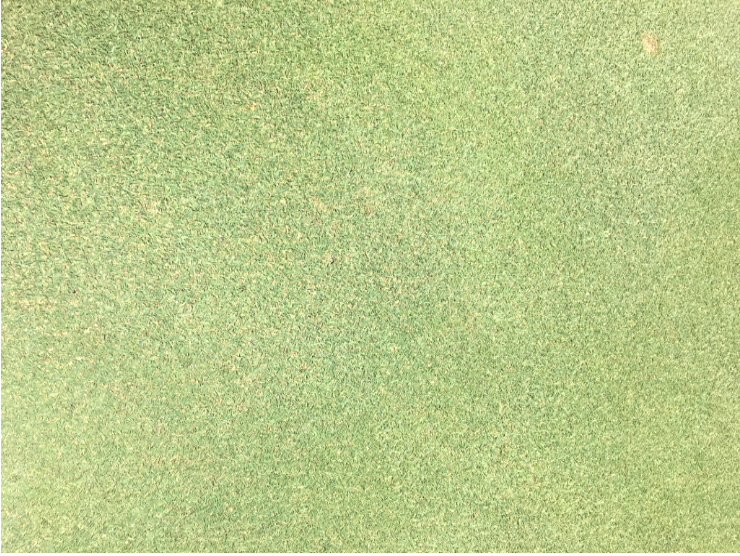 Captura de pantalla 2018-07-13 a las 16.55.43