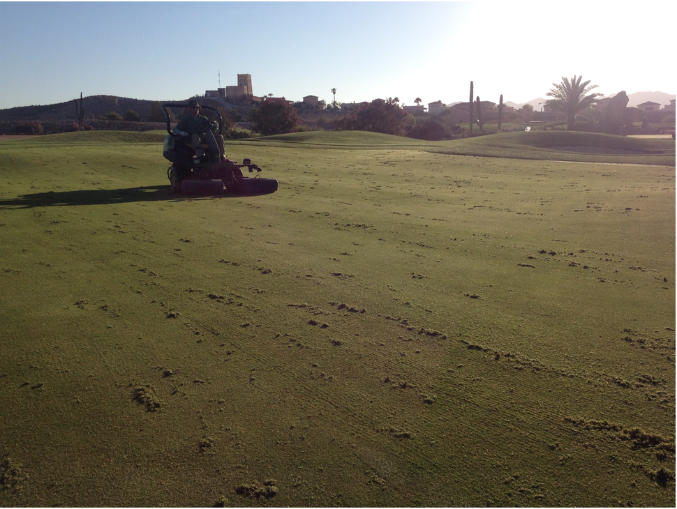 Captura de pantalla 2018-07-13 a las 16.55.55