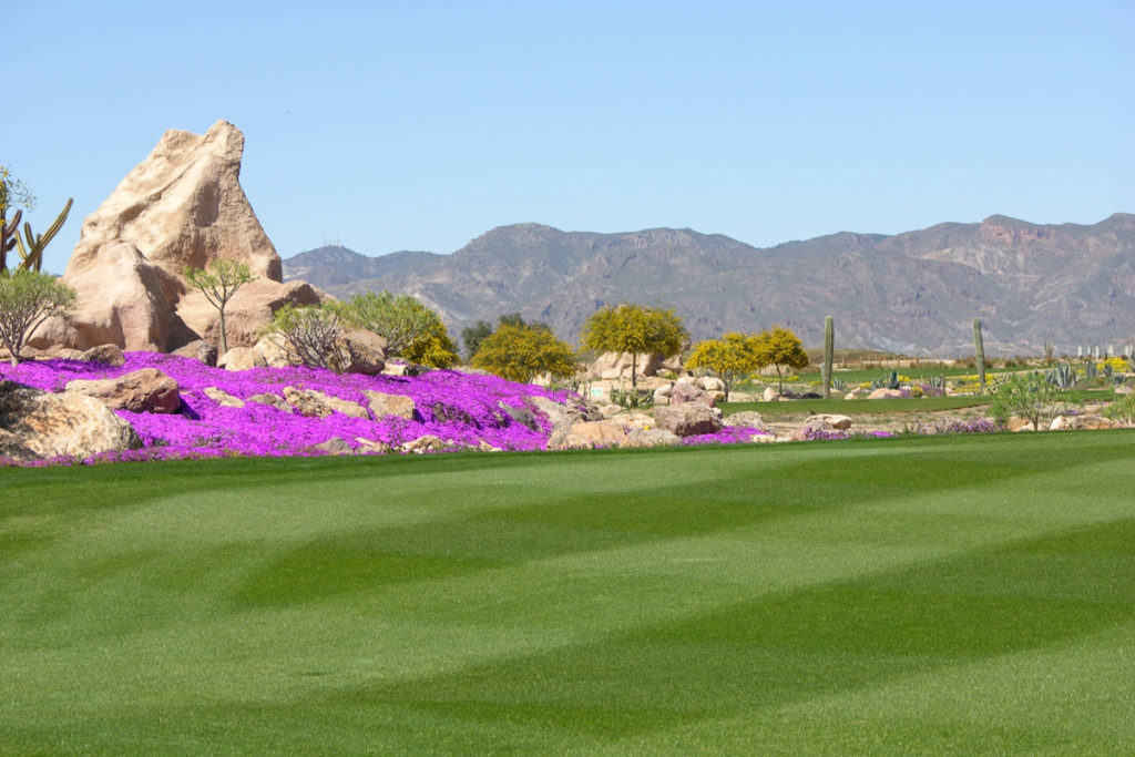 HOLE-15-ABYSS-(FAIRWAY)