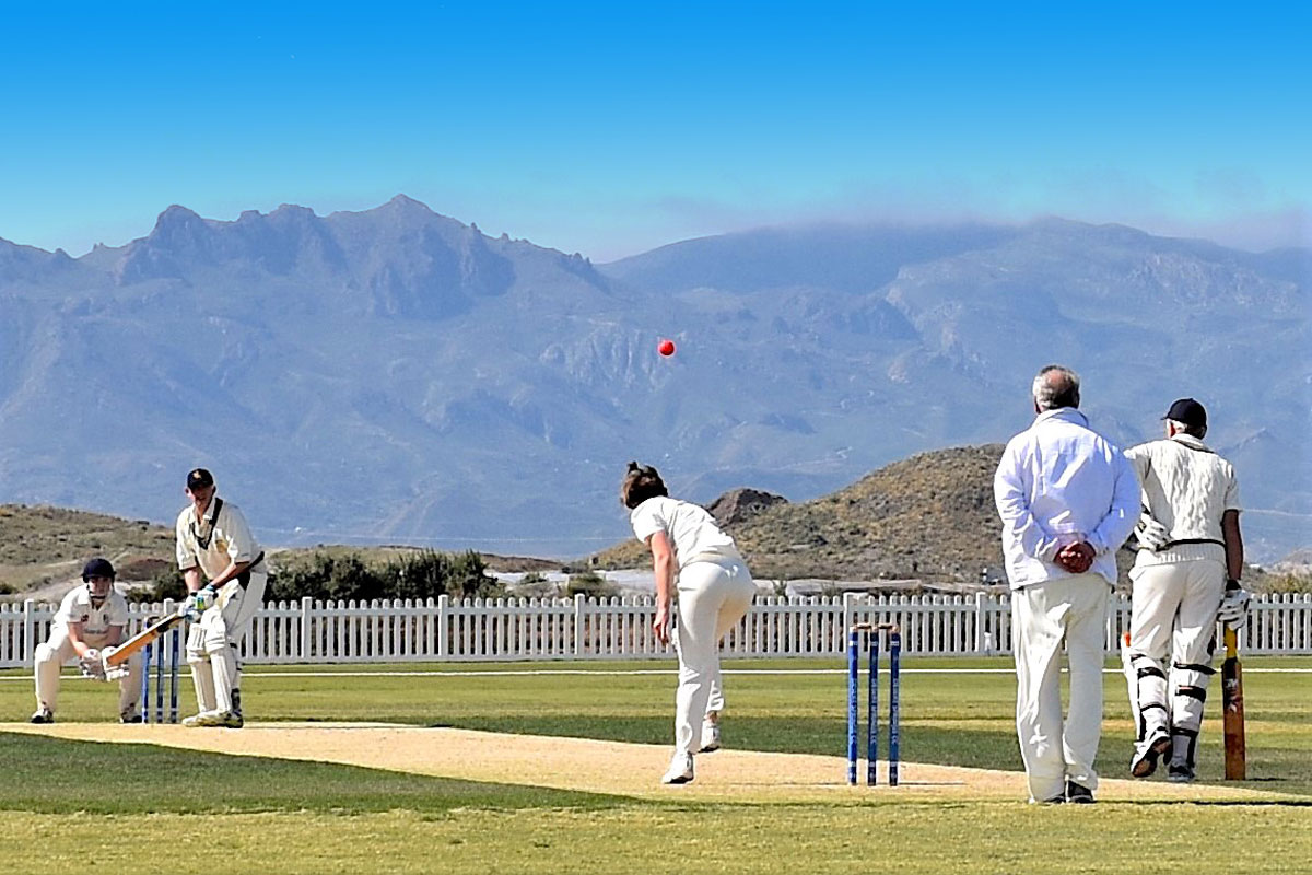 The Root Academy Festival