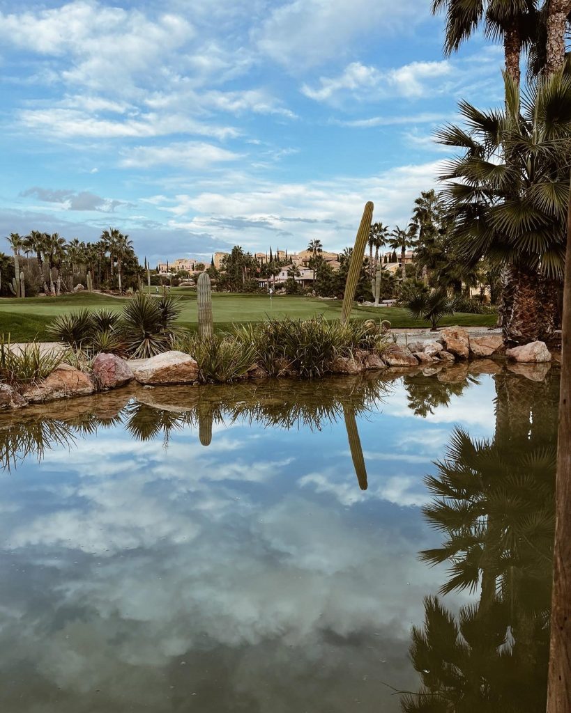 CE507D73-2905-4B20-945A-87C43D6C44E6