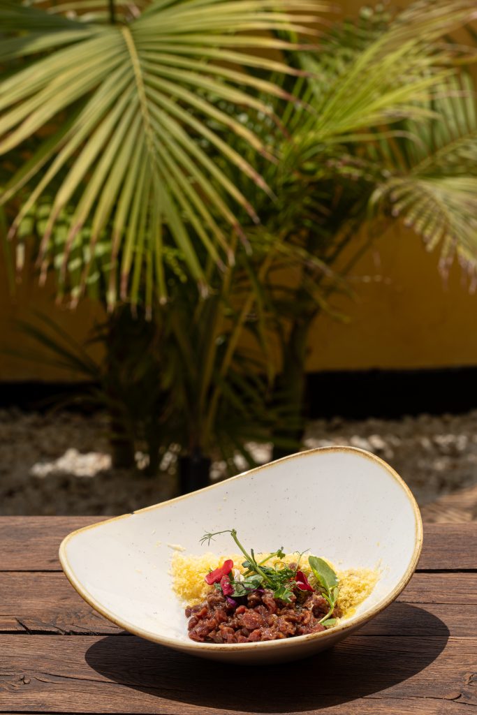 TARTAR DE SOLOMILLO (3)